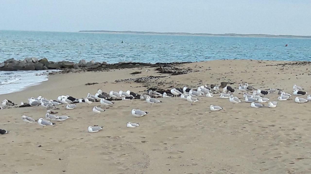 Ma Chaumiere Villa La Cotiniere Luaran gambar